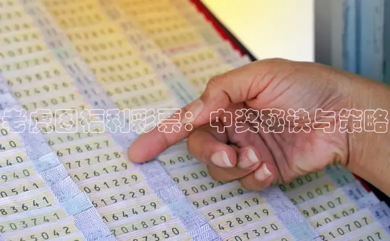 新澳开码现场直播视频
